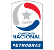 Primera División logo