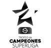 Trofeo de Campeones de la Superliga logo