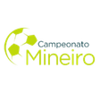Mineiro - 2 logo