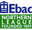 Non League Div One - Northern East logo