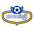 Copa de la División Profesional logo