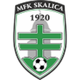 Skalica logo