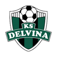 Delvina logo