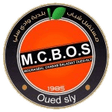 Oued Sly logo