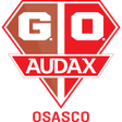 Gremio Osasco Audax logo