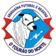 Araguaína logo