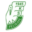 Pelikan Łowicz logo