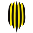Rukh Vynnyky U21 logo