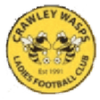 Crawley Wasps W logo