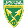 Golden Arrows U23 logo