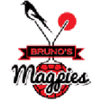 Magpies logo