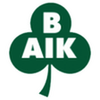 Bergnäsets logo