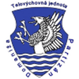 Partizán Domaniža logo