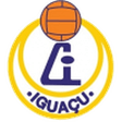 AA Iguaçu logo