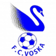 Voska Sport logo