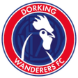 Dorking Wanderers W logo