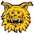 Ilves IV logo