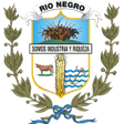 Río Negro logo