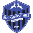 Buckhurst Hill logo