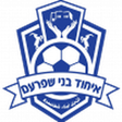 Ihud Bnei Shfaram logo