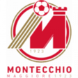 Montecchio Maggiore logo
