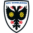 AFC Wimbledon U18 logo