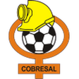 Cobresal logo