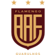 Flamengo SP logo
