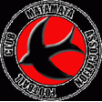 Matamata Swifts logo