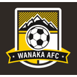 Wanaka logo