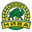Nyva Ternopil II logo