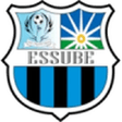 Essube logo