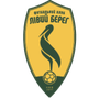 Livyi Bereh U19 logo