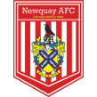 Newquay logo