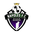 Napoles logo