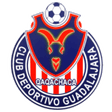 CD Guadalajara logo
