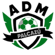 AD Municipal Palcazú logo