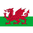 Wales U19 W logo