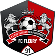 Fleury 91 logo