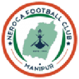 NEROCA logo