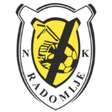 Radomlje logo