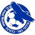 Ironi Nesher logo