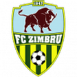 Zimbru logo