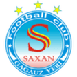 Saxan logo