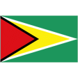 Guyana logo
