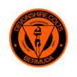 Devonshire Colts logo