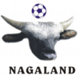 Nagaland logo