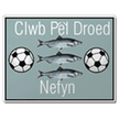 Nefyn United logo