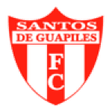 Santos DE Guapiles logo