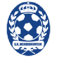 Denderhoutem logo